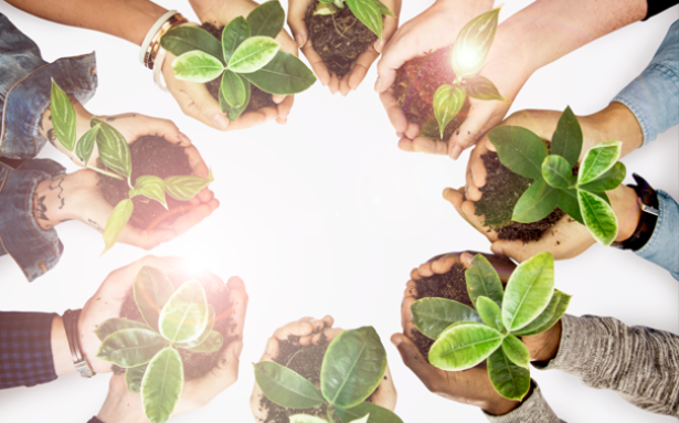 management training csr adalah