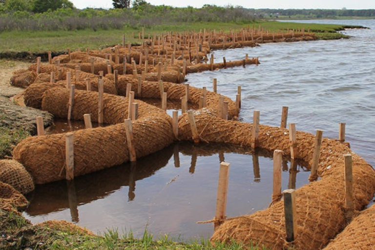 manfaat sabut kelapa