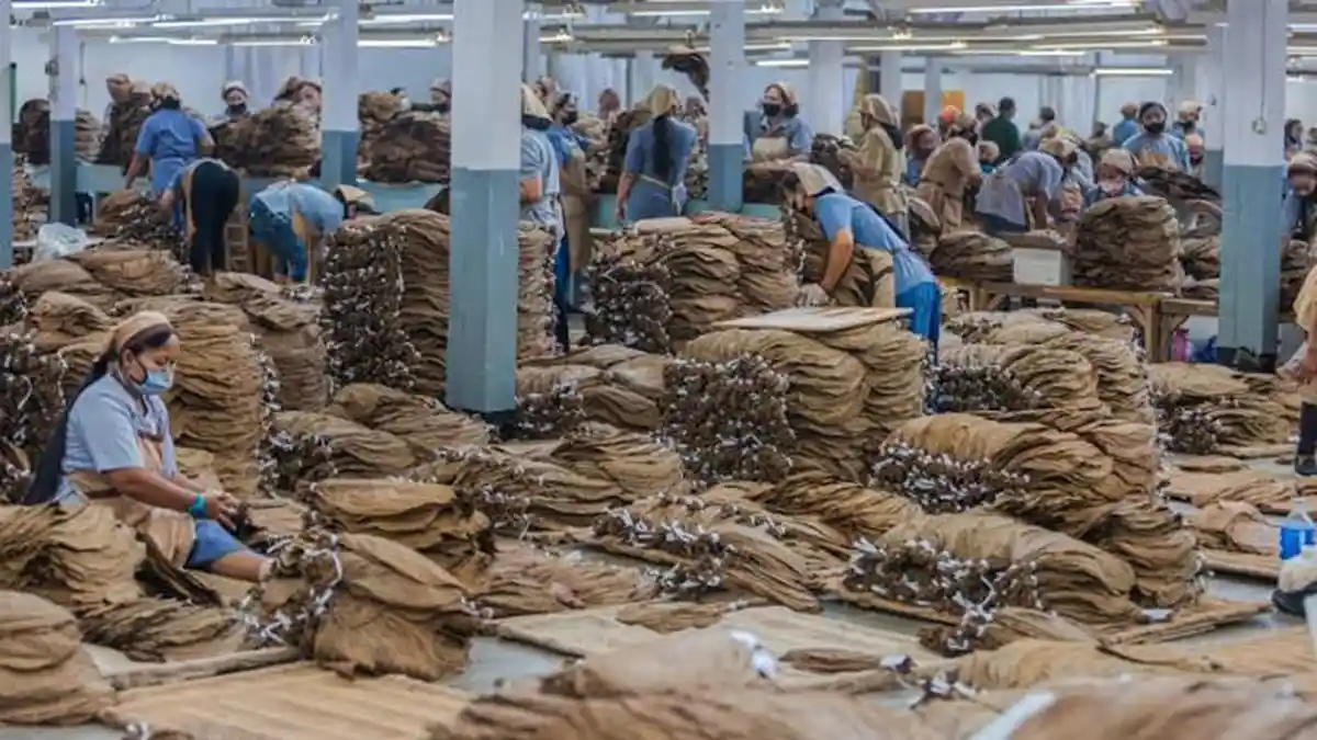 cara mengatasi pekerjaan rajang yang menumpuk