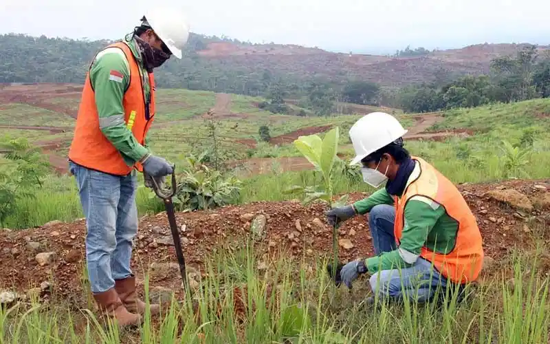 teknik revegetasi pada lereng curam