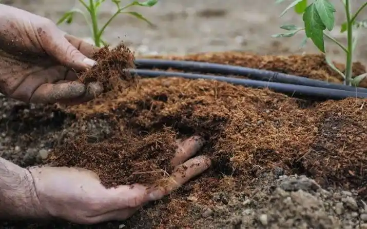 peran material organik dalam pemulihan lahan