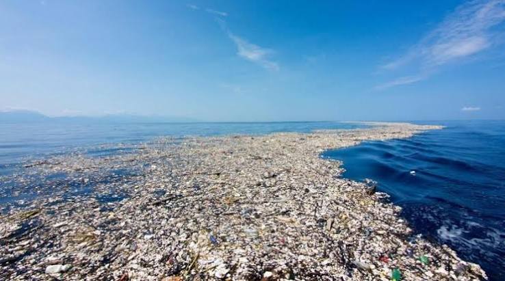 limbah plastik ekosistem laut